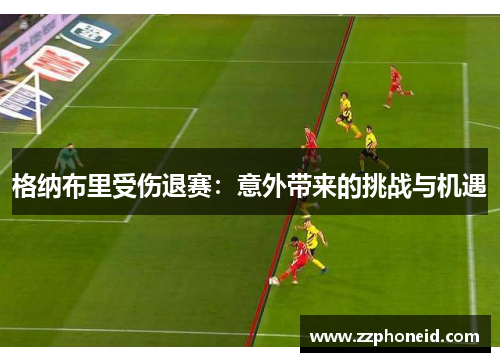 格纳布里受伤退赛：意外带来的挑战与机遇